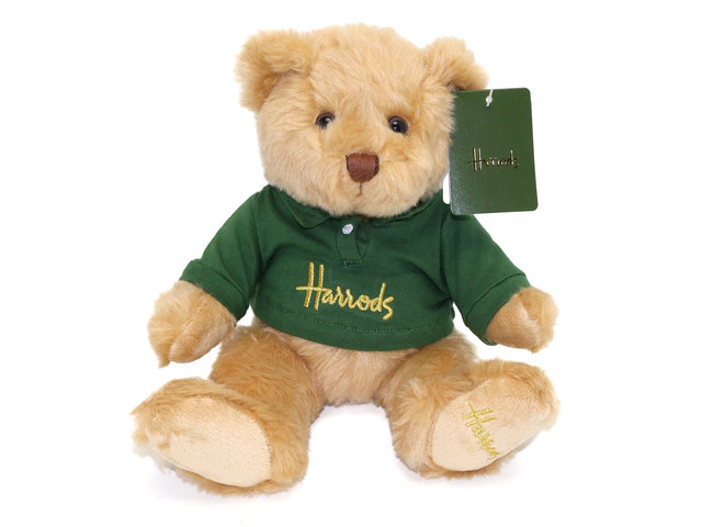 泰迪熊毛公仔 - Harrods Liam Bear - L76609998 Photo